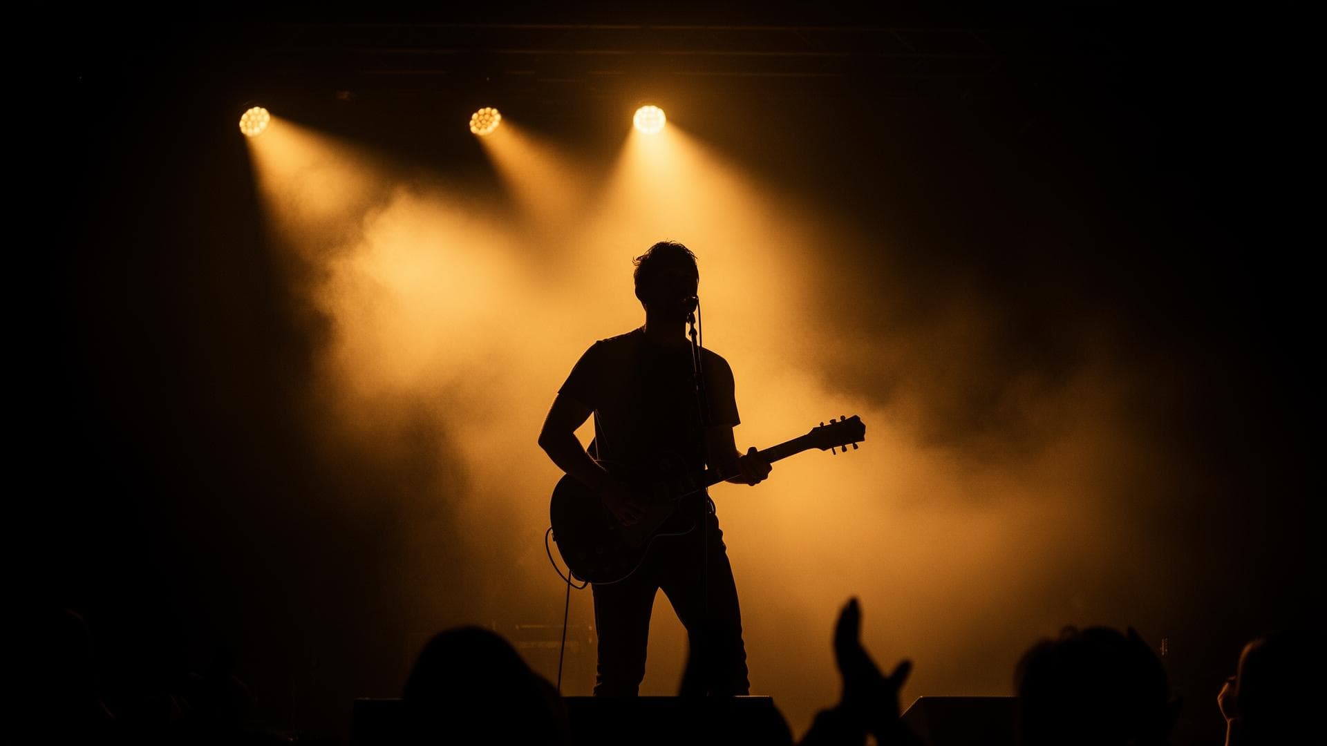 Artist performing on stage